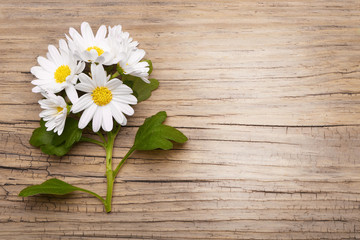 Chamomile flowers on wooden background with copy space
