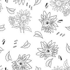 The Composition  Sunflower