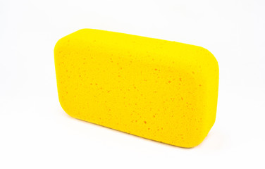 isolated sponge