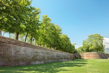 Defense system - a wall in the Tuscan town of Lucca - obrazy, fototapety, plakaty