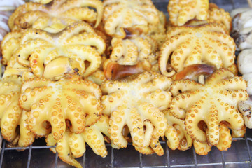 Grilled Squid
