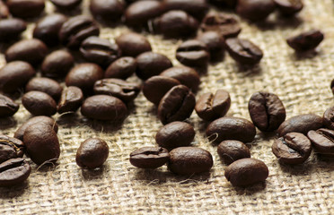 Arabica coffee beans on burlap background