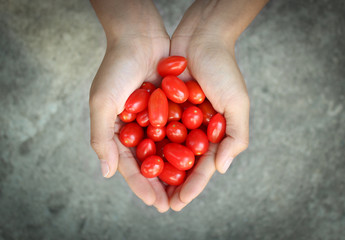 Two Hands Full of Tomatoes