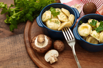 Meat Dumplings - russian boiled pelmeni in plate
