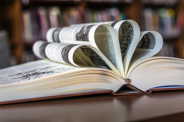 Decorative open book