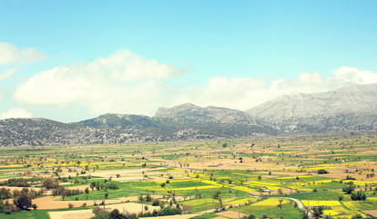 Obraz premium Amazing sunny landscape of valley with fields on the background