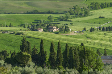 Landscape in Tuscany