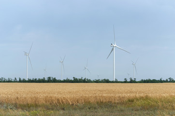 A wind farm in the wide spread field
