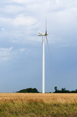 A wind farm in the wide spread field