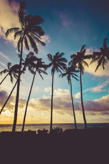 Hawaiian sunset