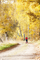 Fototapeta premium woman with a pram on walk in autumnal alley