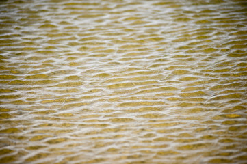 Water Ripples 1