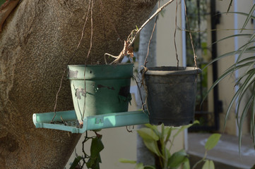 маленькие старые цветочные горшки