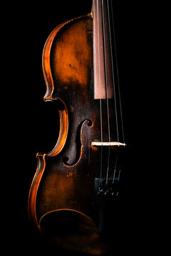 Vintage violin on black background