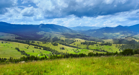 Mountain landscape with pine forest and meadow