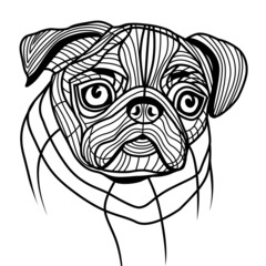 Dog pug head vector