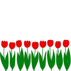 Red tulips. Vector illustration