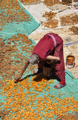 woman monk with dry apricots