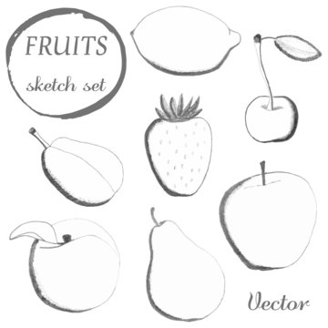 Set of fruits in sketch style.Freehand drawing.