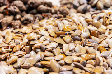 Pile of clamshell in a fish and seafood market