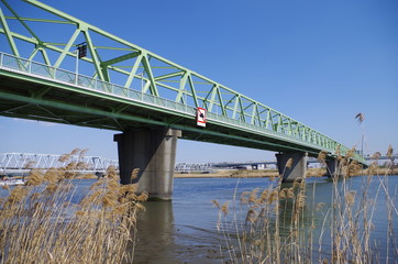 荒川の木根川橋