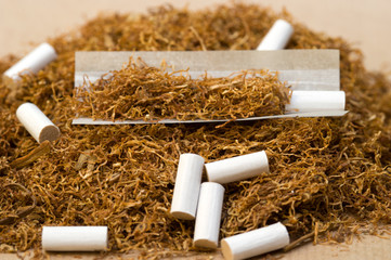 Tobacco to roll