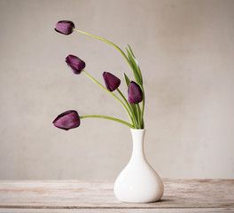 Image of flowers on white background printed on Printed Glass Splashbacks