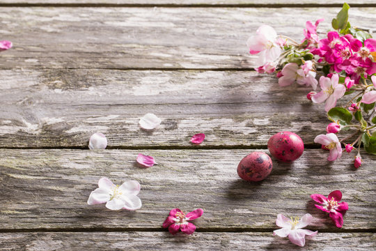 Easter eggs with apple flowers on wooden background