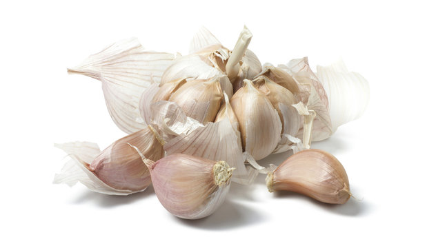 Loose garlic natural isolated on white background