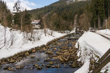 Stream flows from the mountains