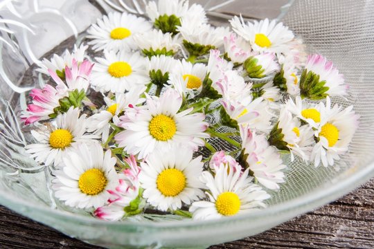 White daisies on old wooden table