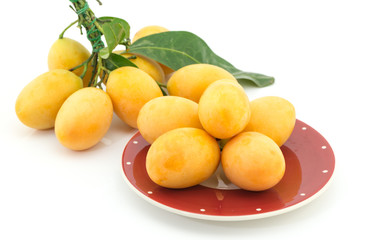 Marian plum isolated in white background