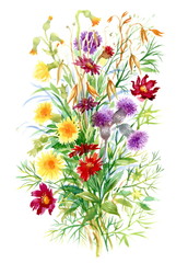 Fototapeta premium Colorful watercolor wildflowers illustration on white background