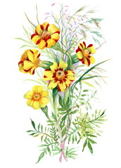 Colorful watercolor wildflowers illustration on white background