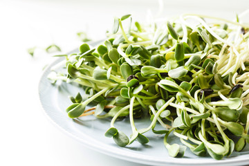sunflower sprouts