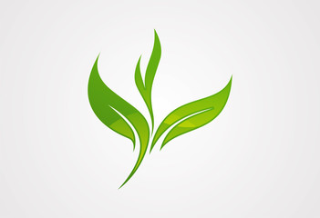 Green leaf  logo vector