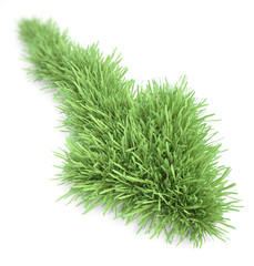 Arrow shaped patch of grass