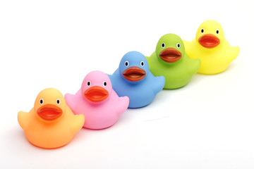 ducklings on the white background