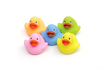 ducklings on the white background