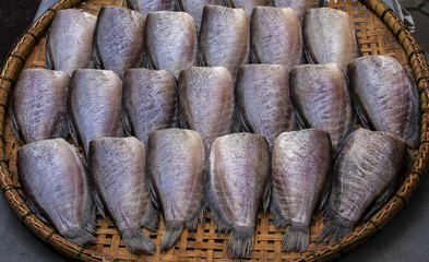 Medium dried Gourami