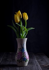 Yellow tulips flowers