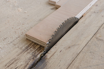 plywood on table saw for cutting