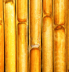 thailand abstract cross bamboo in the temple kho phangan