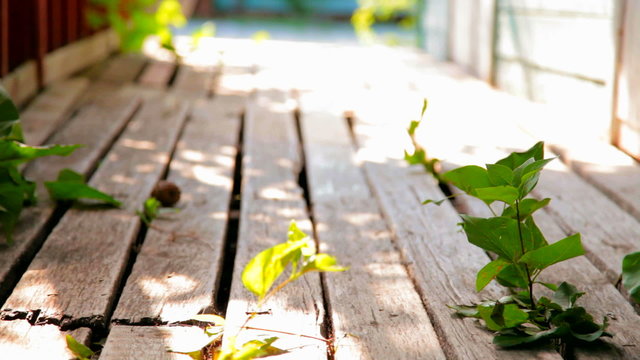 Cracked wooden planks of the old porch