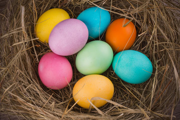 Fototapeta na wymiar easter nest with colored eggs