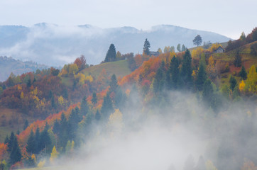 Fototapeta premium Autumn landscape in the countryside