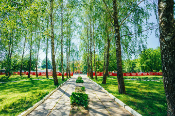 Obraz premium Alley In Park. Garden Landscaping Design