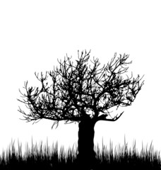 Tree and grass in silhouette are isolated on white background