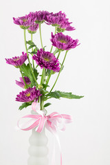Burgundy daisies in a vase with pink bow