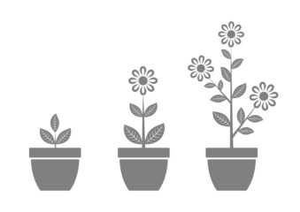 Flower icons on white background